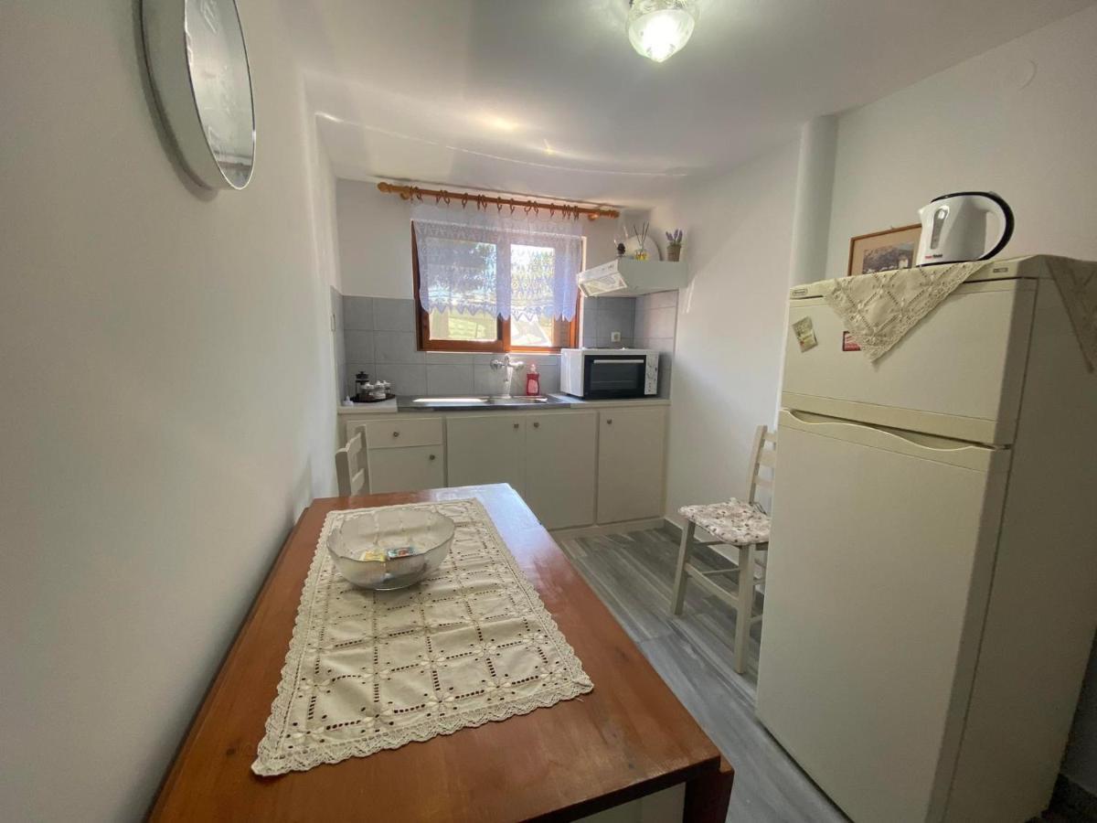 Stelios Zalonis Apartments Тинос Экстерьер фото