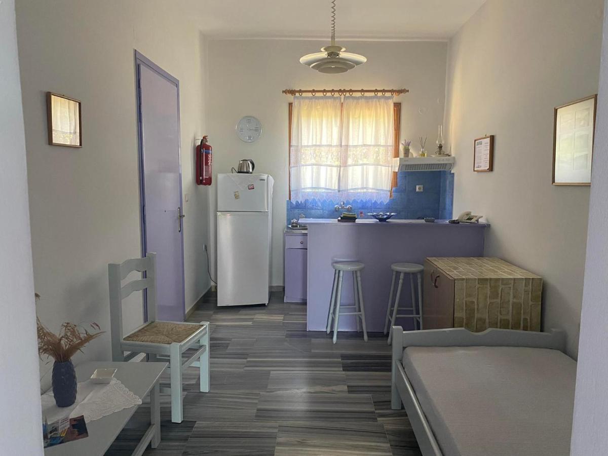 Stelios Zalonis Apartments Тинос Экстерьер фото